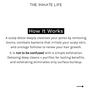 CHARCOAL SCALP DETOX